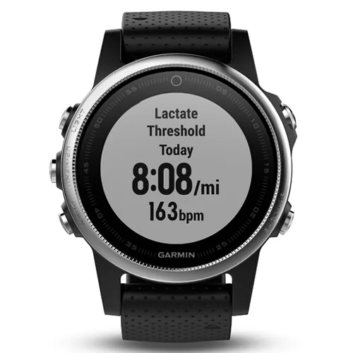 Смарт-часы Garmin Fenix 5S серебристые с черным ремешком